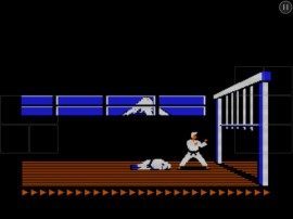 GU DO Karateka Classic 1984 iOS