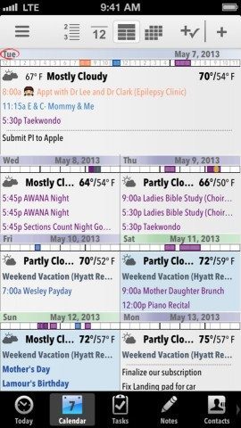 Pocket Informant week view