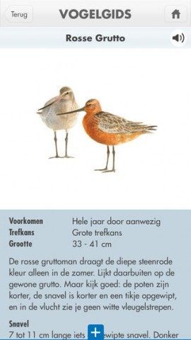 Wadvogels vogels encyclopedie iPhone met geluiden