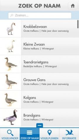 Wadvogels zoek op naam vogels