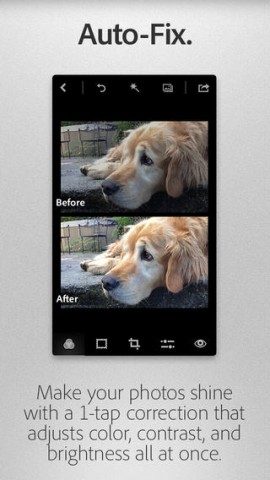 Photoshop Express voor en na met hond