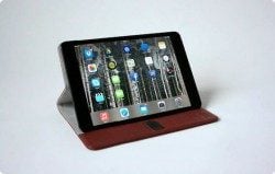 Access Case iPad