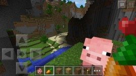 Minecraft Pocket Edition