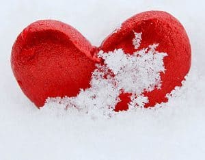 hart sneeuw