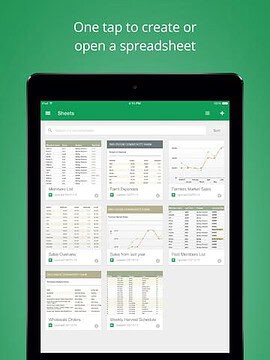 Google Spreadsheets iPad screenshot