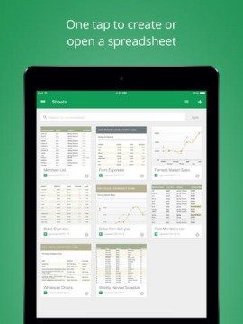 Google Spreadsheets iPad screenshot