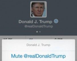 Twitter iOS mute zoom