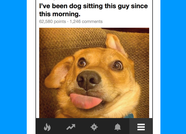 9GAG hond en lachen man