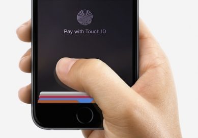 apple pay hand