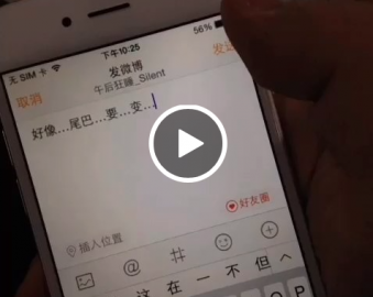 iPhone 6 video