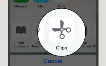 Clips review Safari extensie iOS 8