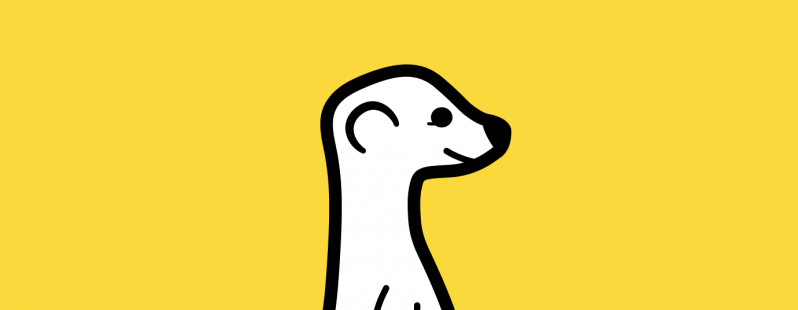 Meerkat livestream app