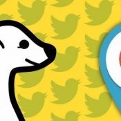 iCulture vergelijkt: Meerkat versus Periscope