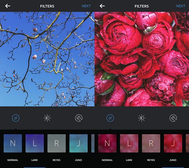 instagram-filter-juno-lark