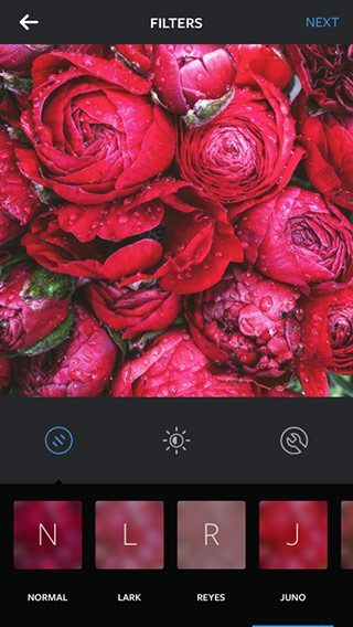 instagram-filter-juno