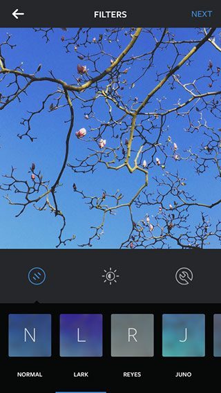 instagram-lark-filter