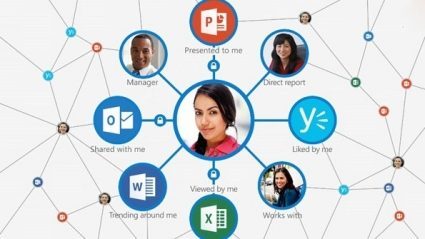 office-delve-microsoft