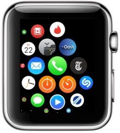 regionale-omroepen-apple-watch-app-2