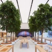 Apple Store Brussel, kijkje in de winkel met bomen