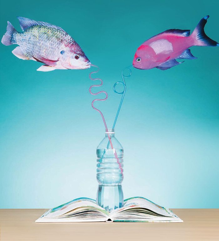Boekenweekgeschenk 2015