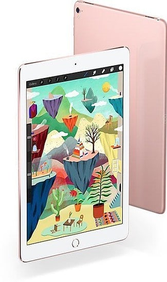 iPad Pro groot en klein