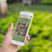 Moestuintje-apps: met deze 6 apps kweek je zelf groente