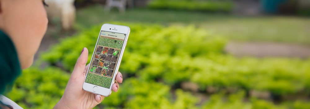 Vegetable garden apps: with these 6 apps you grow your own vegetables