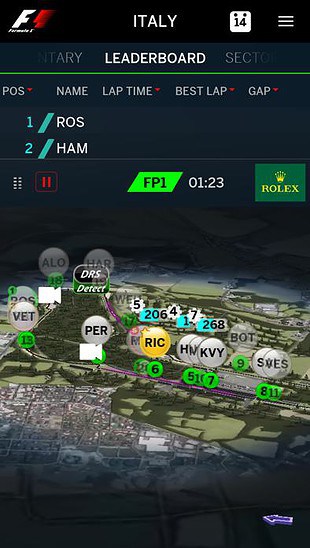 Formule 1 simulatie race