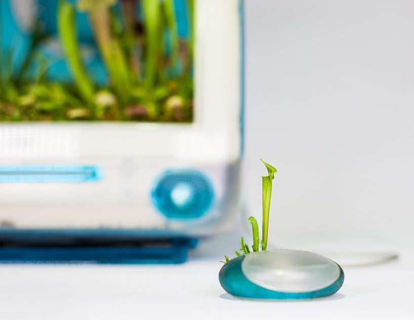 Plant Your Mac: planten in een iMac G3