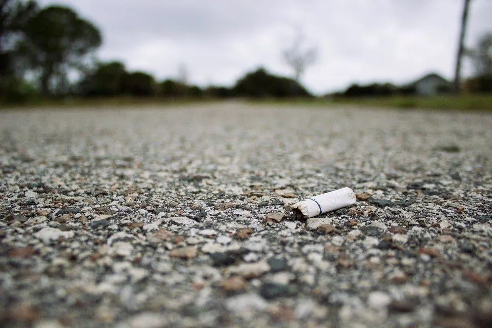 Review: Litterati moedigt je aan om zwerfvuil te fotograferen (en op te ruimen)