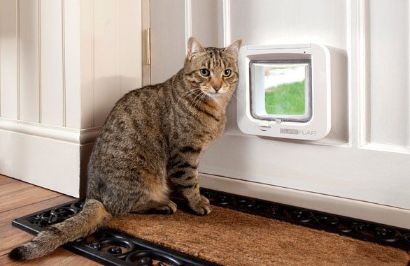 SureFlap een kattenluikje iPhone-app