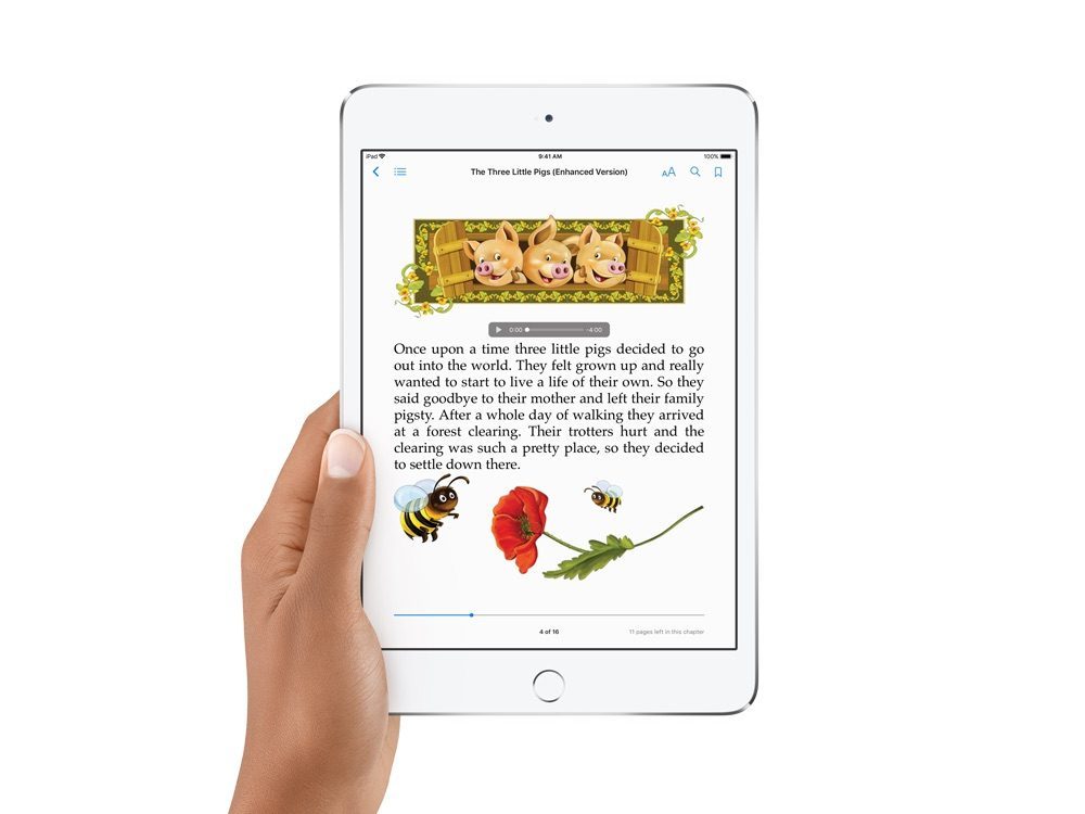 iBooks voor iPad.