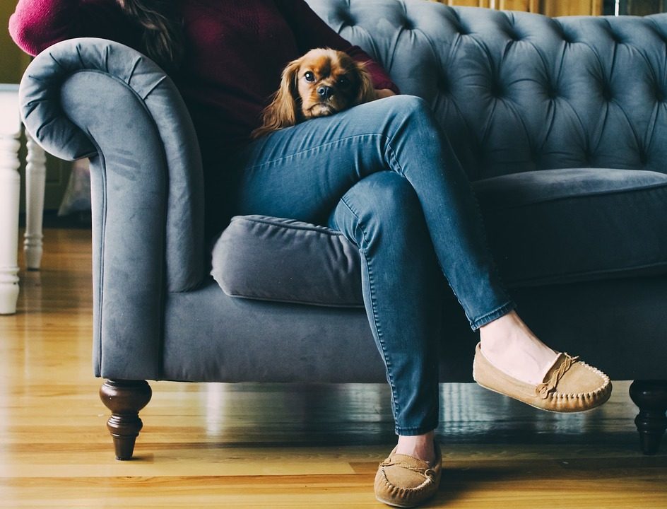 tv-kijken met hond