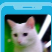 Gemini Photos ruimt op een slimme manier je camerarol op