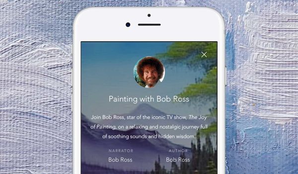 Bob Ross slapen