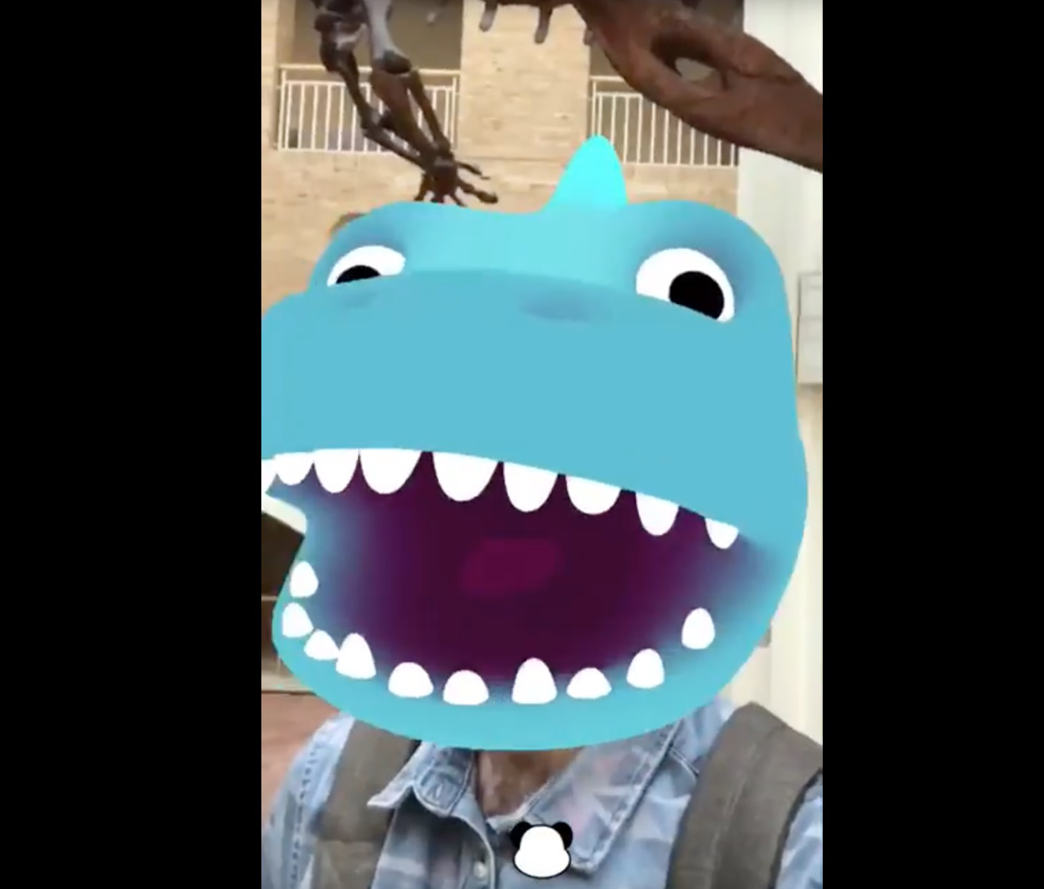 Maak videoberichten met Panda