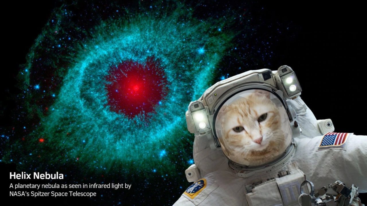 NASA Selfies