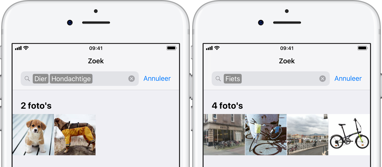 Zoeken in de Foto's app: zo je zoeken naar foto's op iPad