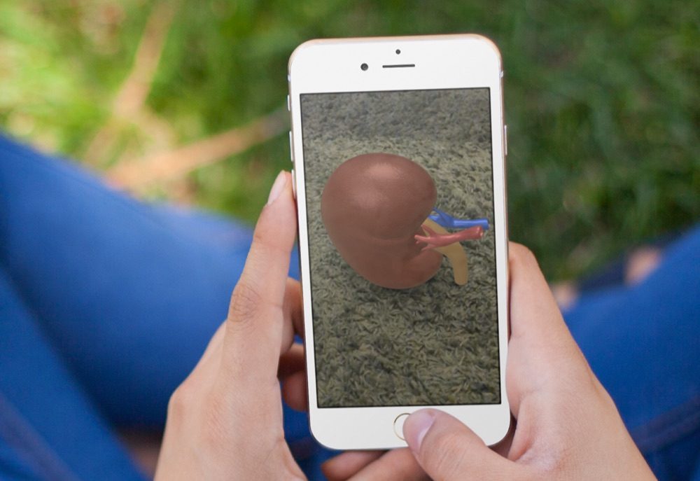 AR Quick Look met nier.