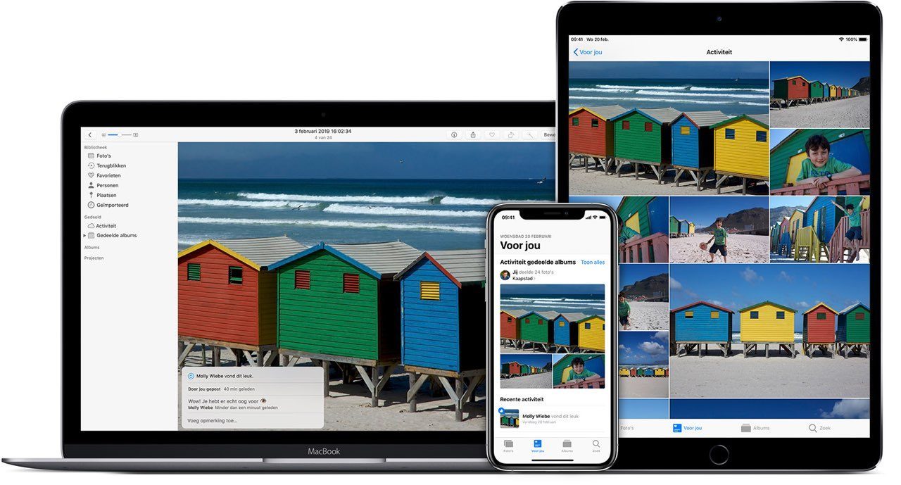 Goed Recensent Logisch Zo werken gedeelde albums (iCloud fotodelen) op je iPhone en iPad