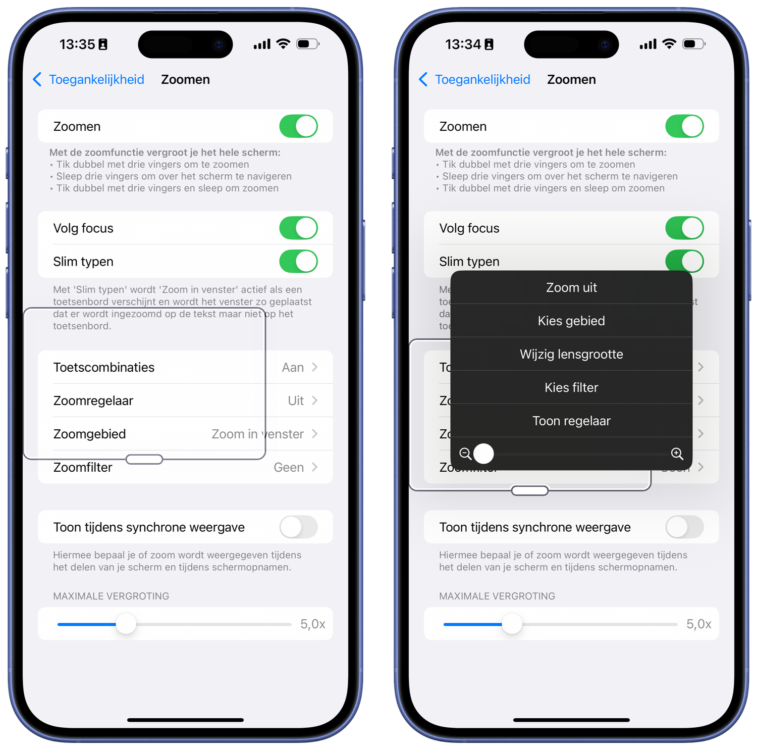 Zoomen instellen toegankelijkheid iOS
