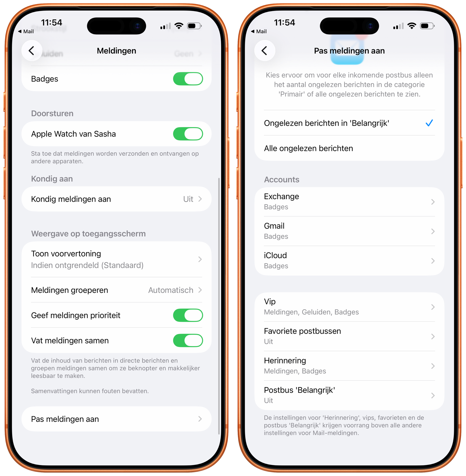 Pas meldingen aan mail