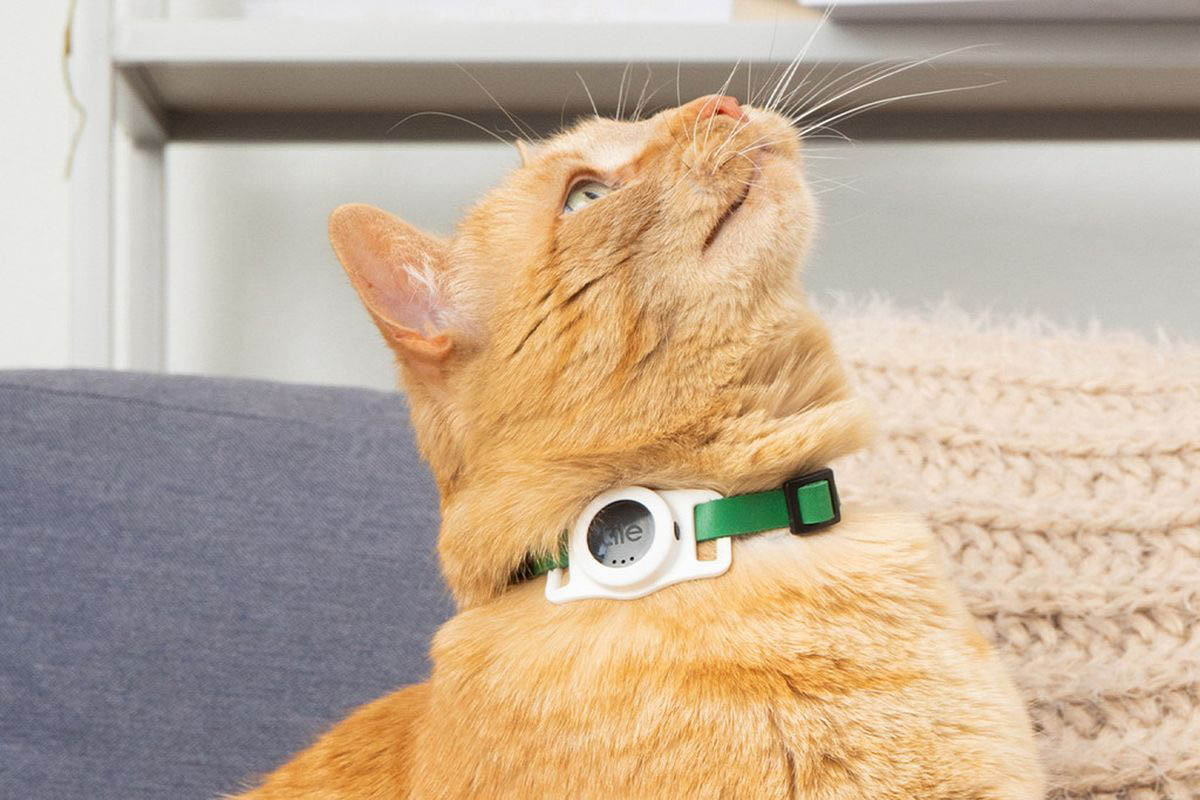 Tile een Bluetooth-tracker je kat