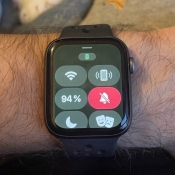 Grijsgroene tint op Apple Watch