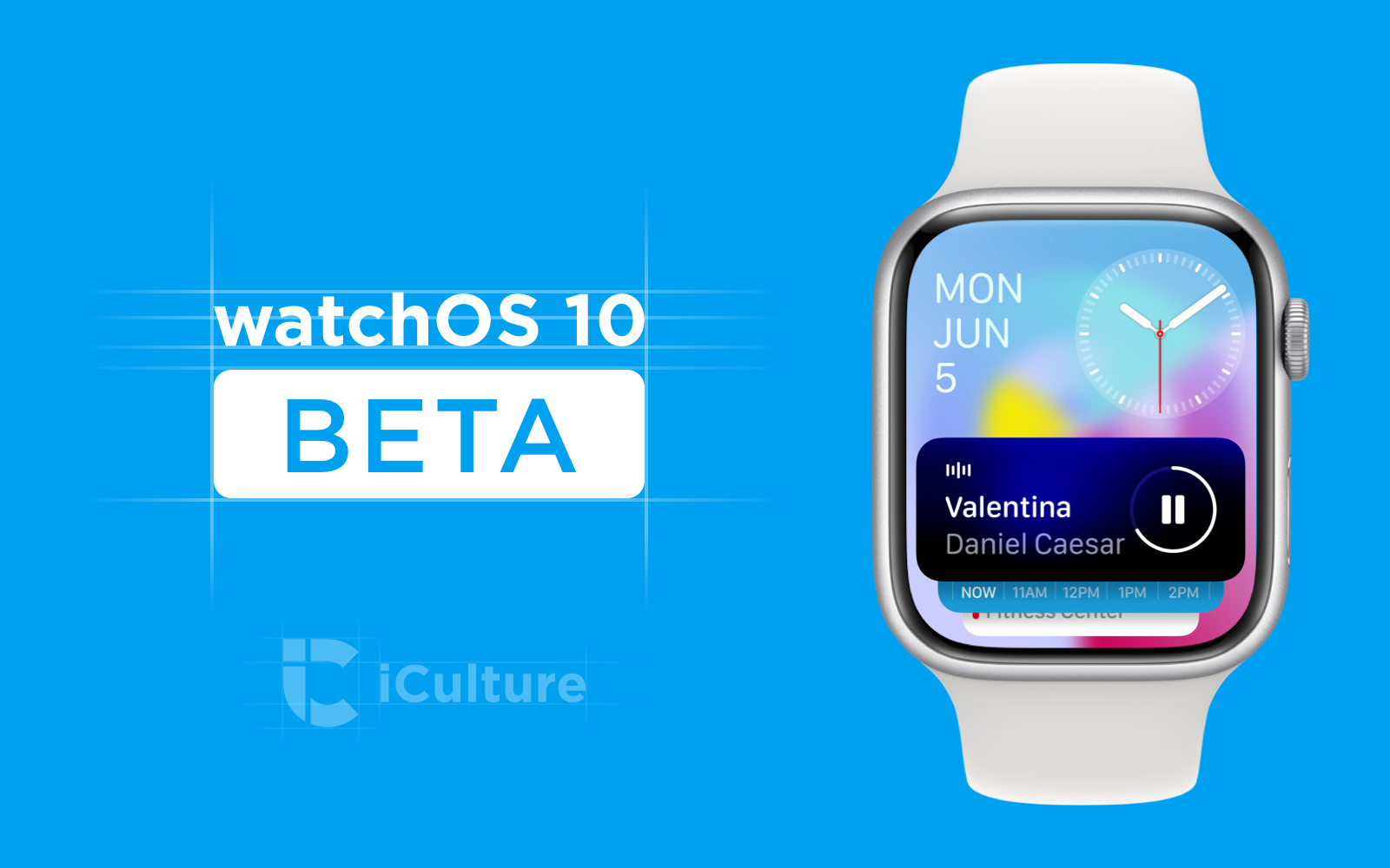 watchOS 10 beta V2