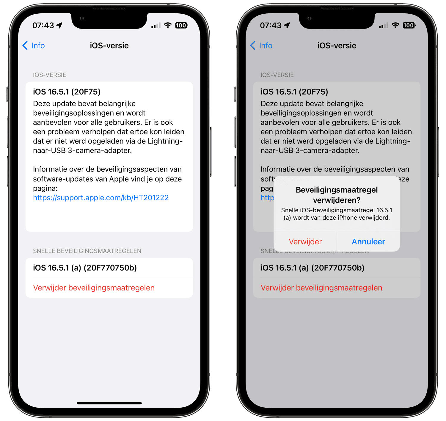 Remove Apple Security Measure from iPhone