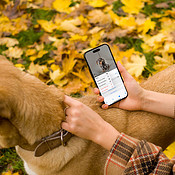 Huisdieren herkennen in de Foto's-app in iOS 17
