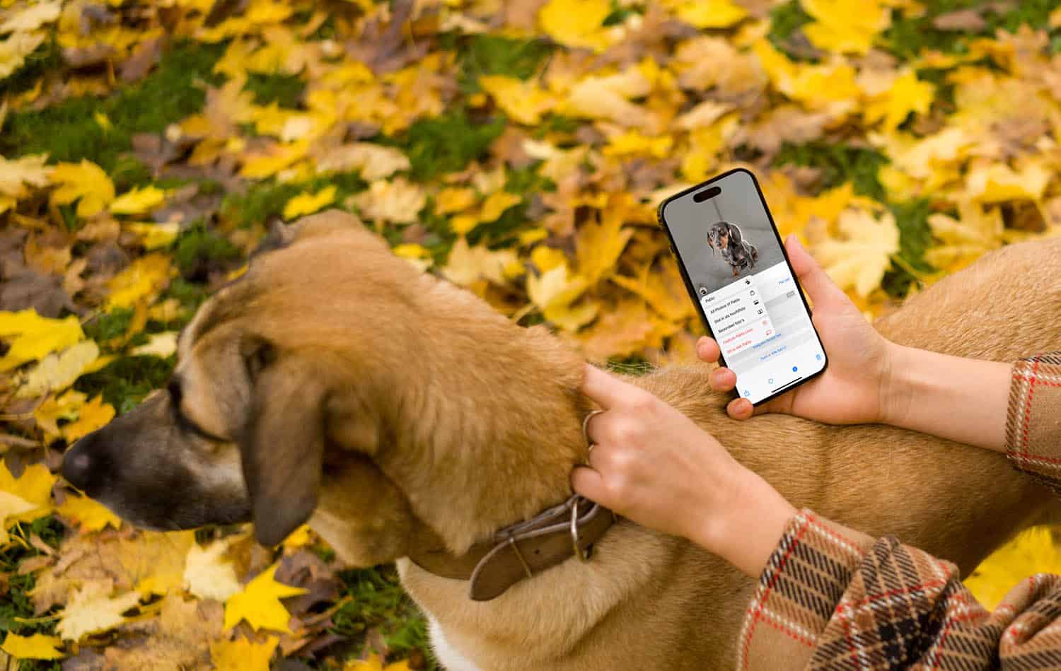 Huisdier herkennen met Foto's-app