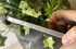iPhone 15 Pro Max nieuwe actieknop