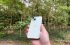 iPhone 15 review in groen in bos